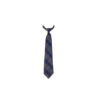 This Navy Blue Check Tie is a formal accessory, likely part of the uniform at VVS Marathi. It could be worn by students for special occasions, assemblies, or as part of a daily dress code at VVS English.