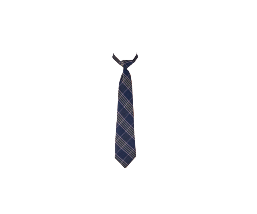 This Navy Blue Check Tie is a formal accessory, likely part of the uniform at VVS Marathi. It could be worn by students for special occasions, assemblies, or as part of a daily dress code at VVS English.