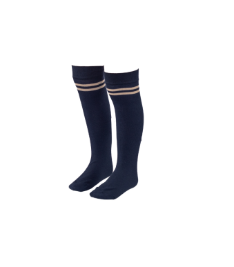 VVS English - Navy blue beige strip socks (2)