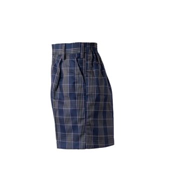 VVS Marathi - Lavender checks Half pant (2)